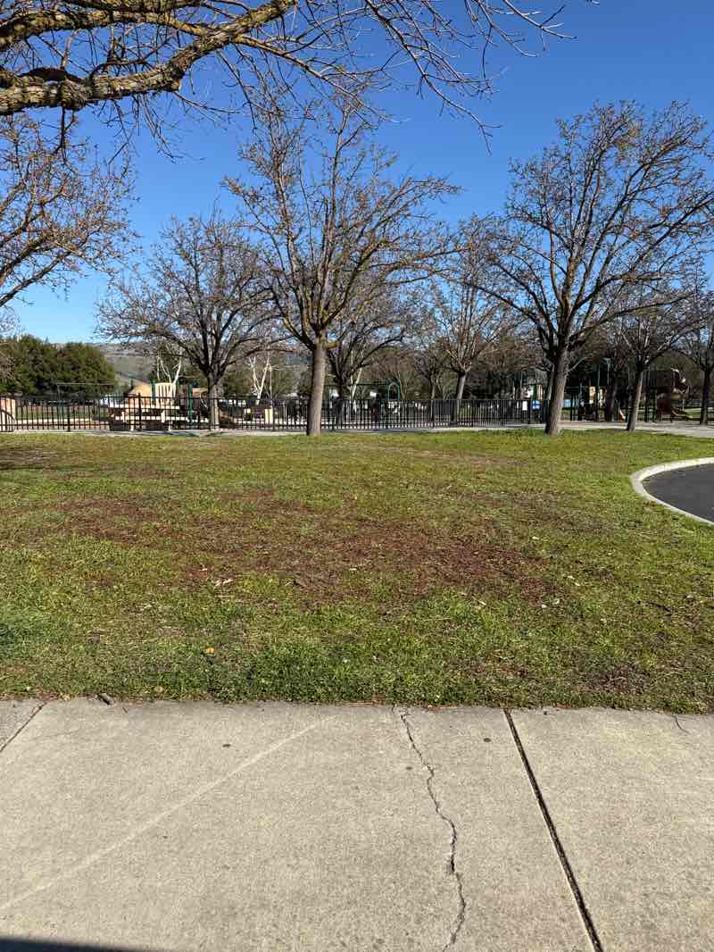 walking near me in Nordstrom Park in winter