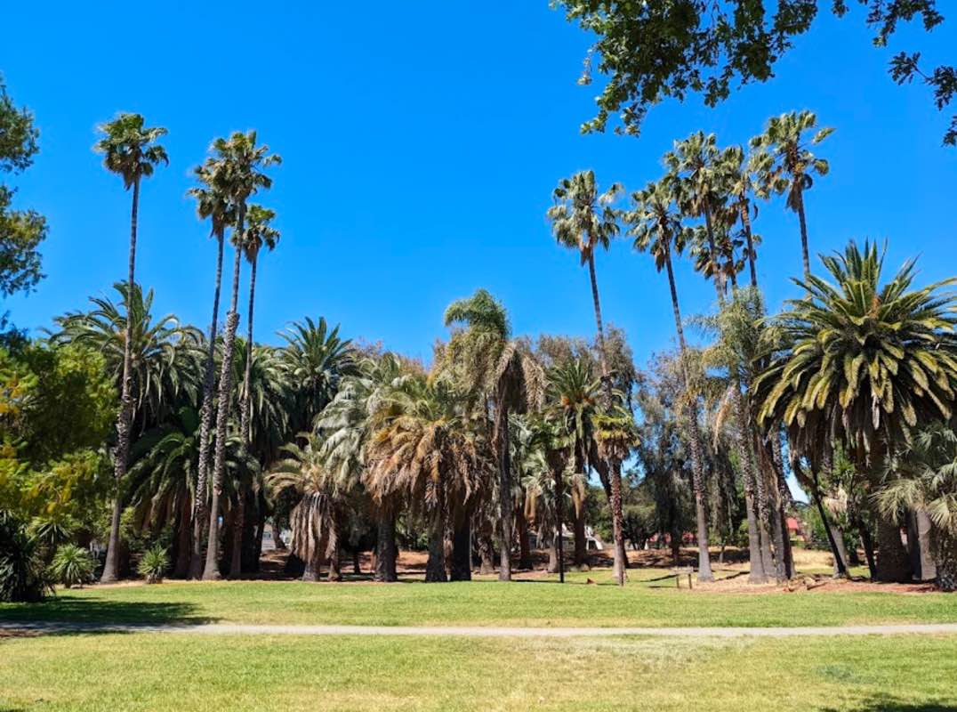 walking near me in Overfelt Gardens Park in winter