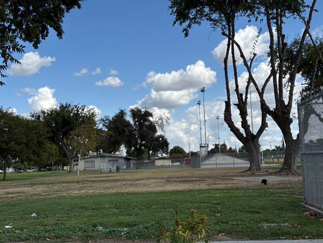 walking near me in Pacheco Park in autumn