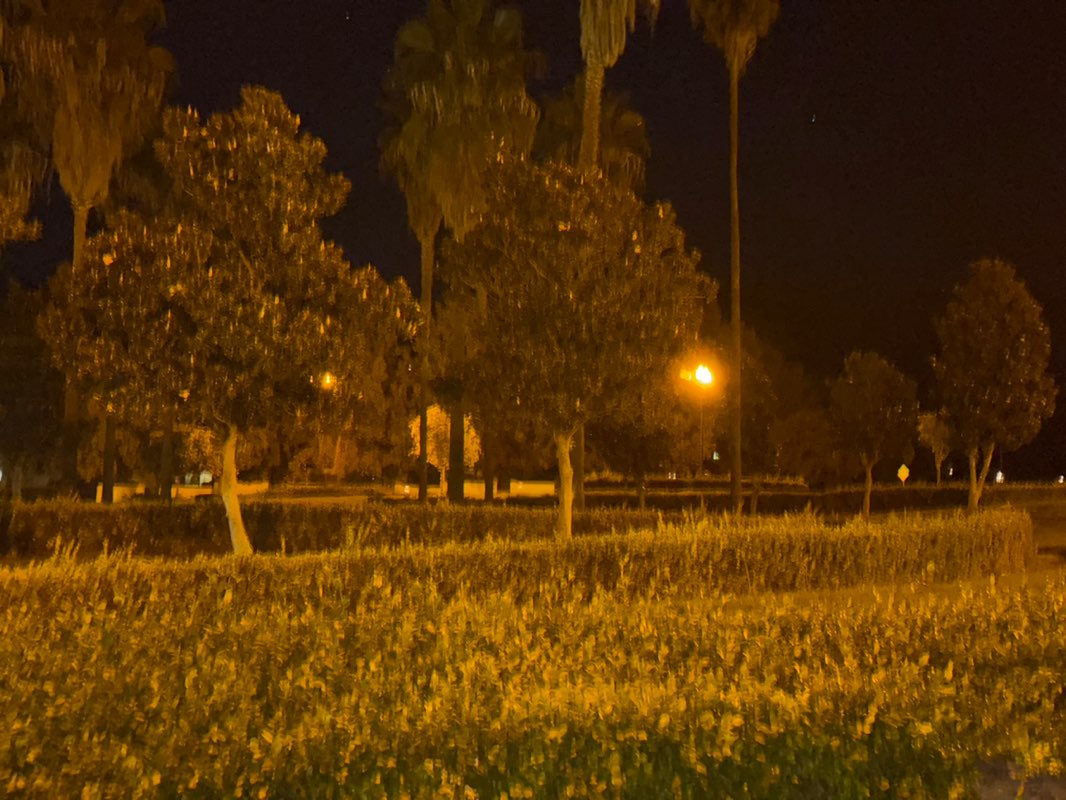 walking near me in Fowler Creek Park in autumn