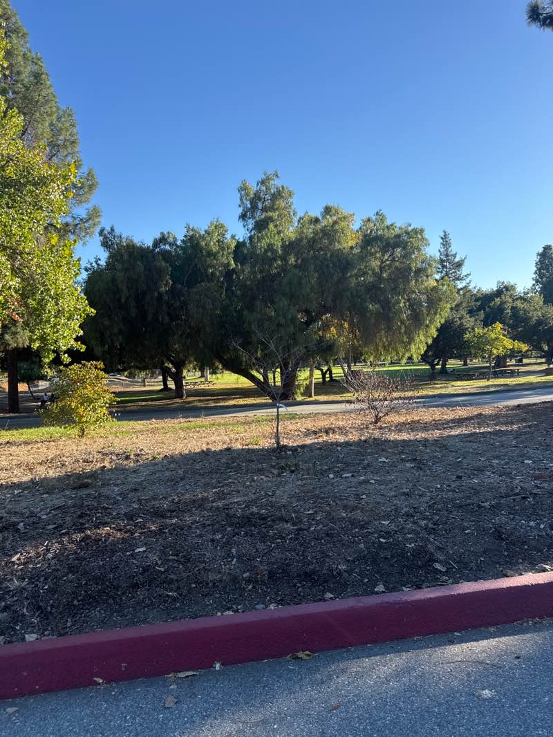 walking near me in Hellyer County Park in autumn