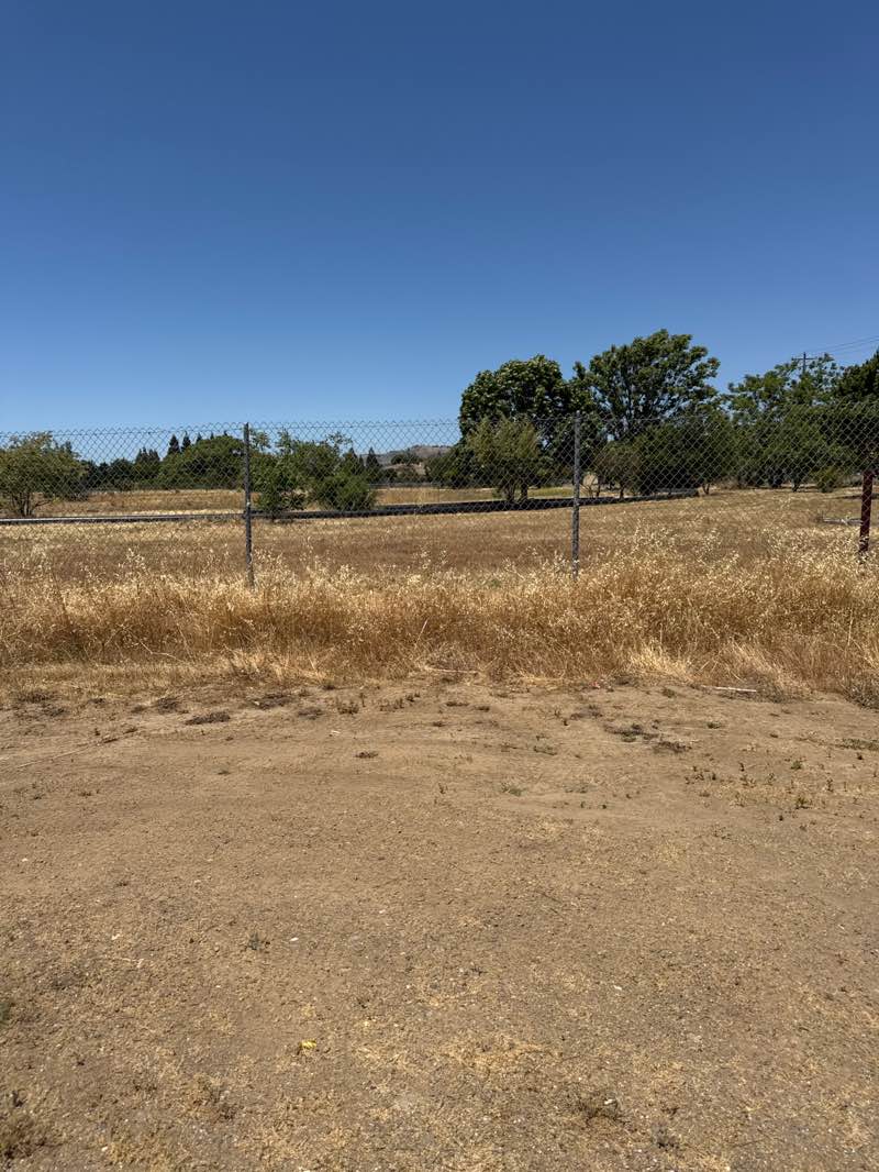 walking near me in San Pedro Percolation Ponds in spring