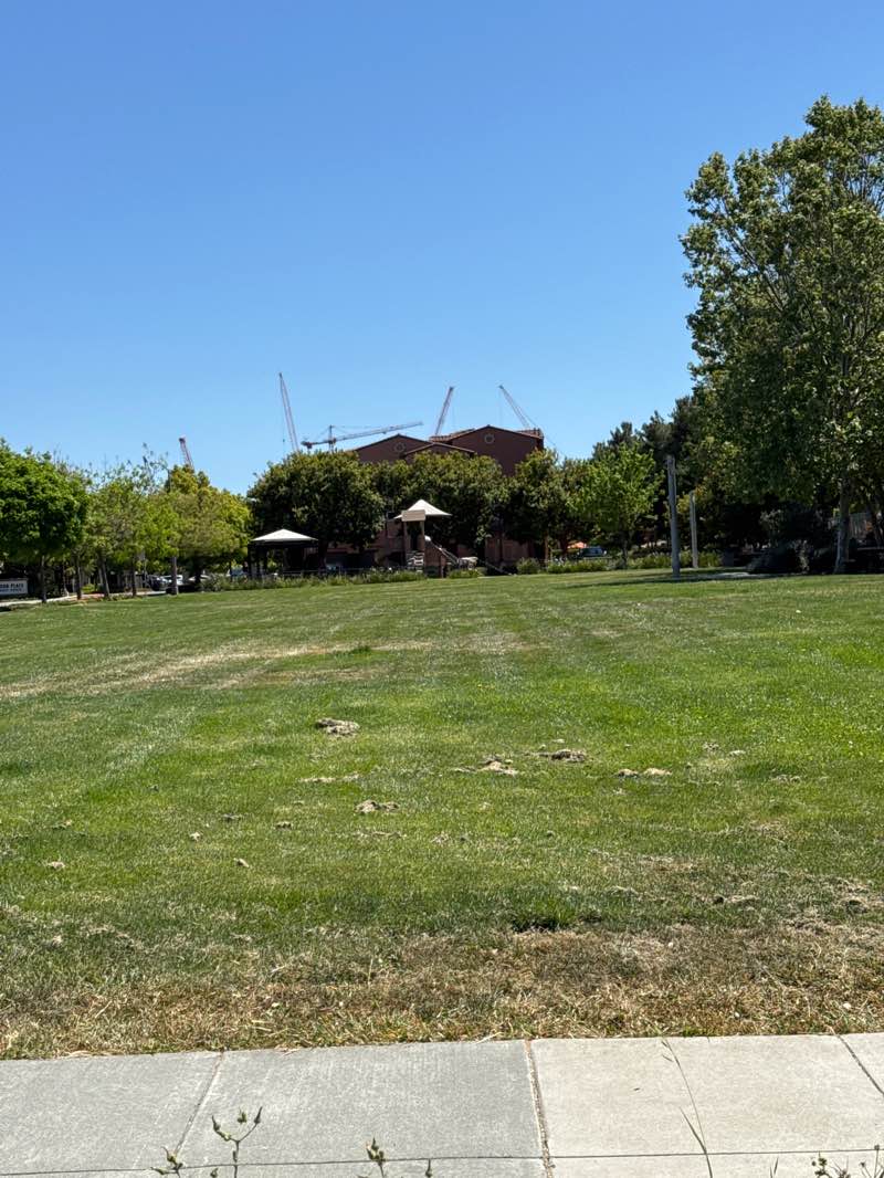 walking near me in Swegles Park in spring