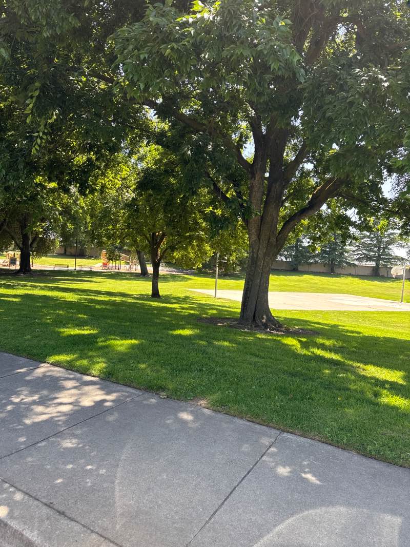 walking near me in Quail Ridge Park in spring