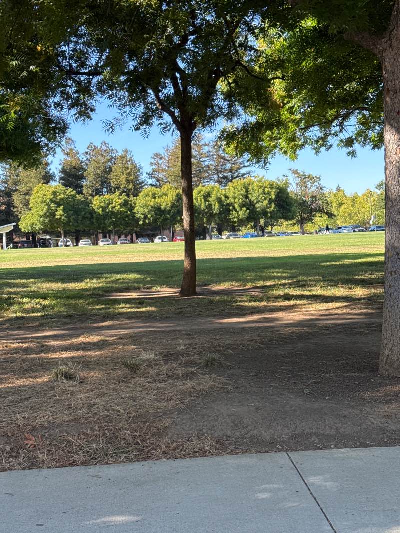 walking near me in Library Field in autumn