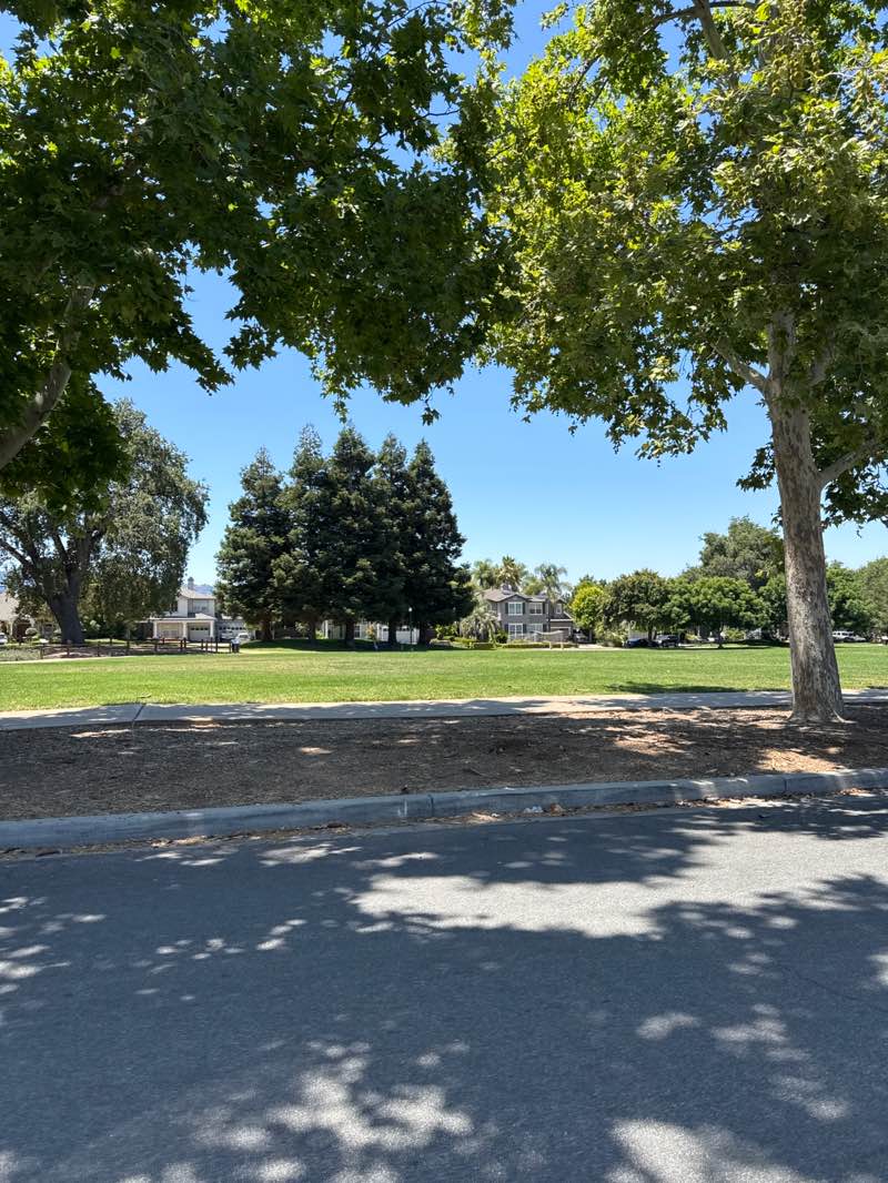 walking near me in Jack Fischer Park in summer