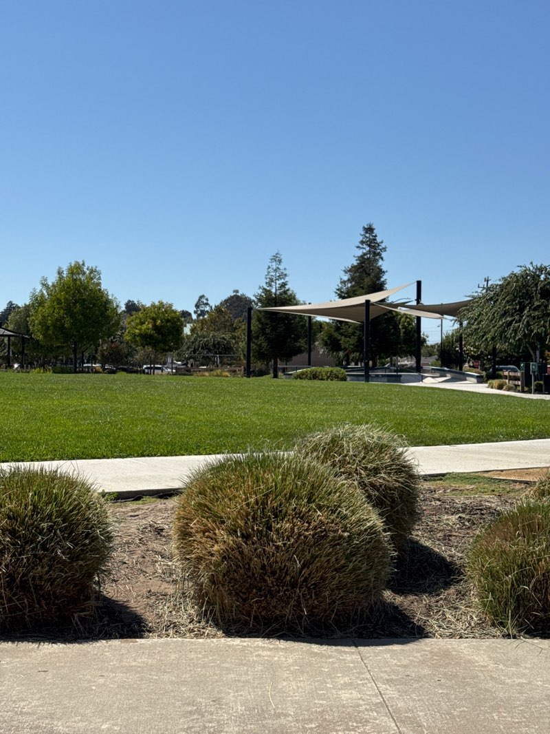 walking near me in McCarthy Park in autumn