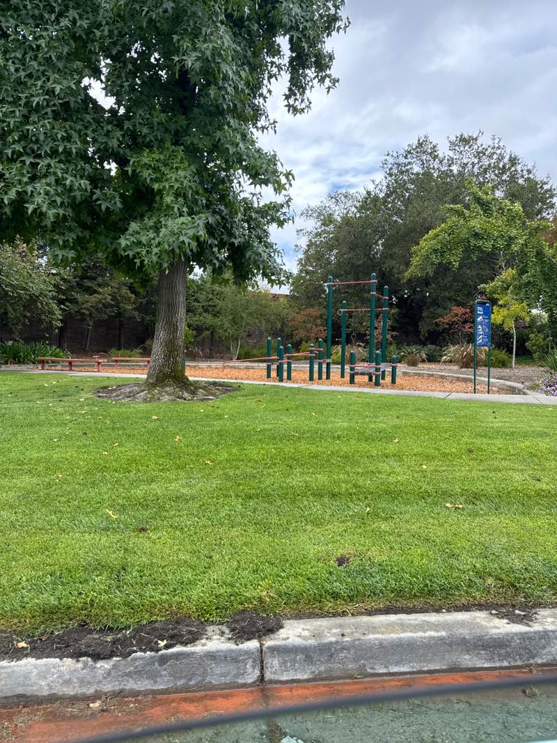 walking near me in Belgrove Park in autumn