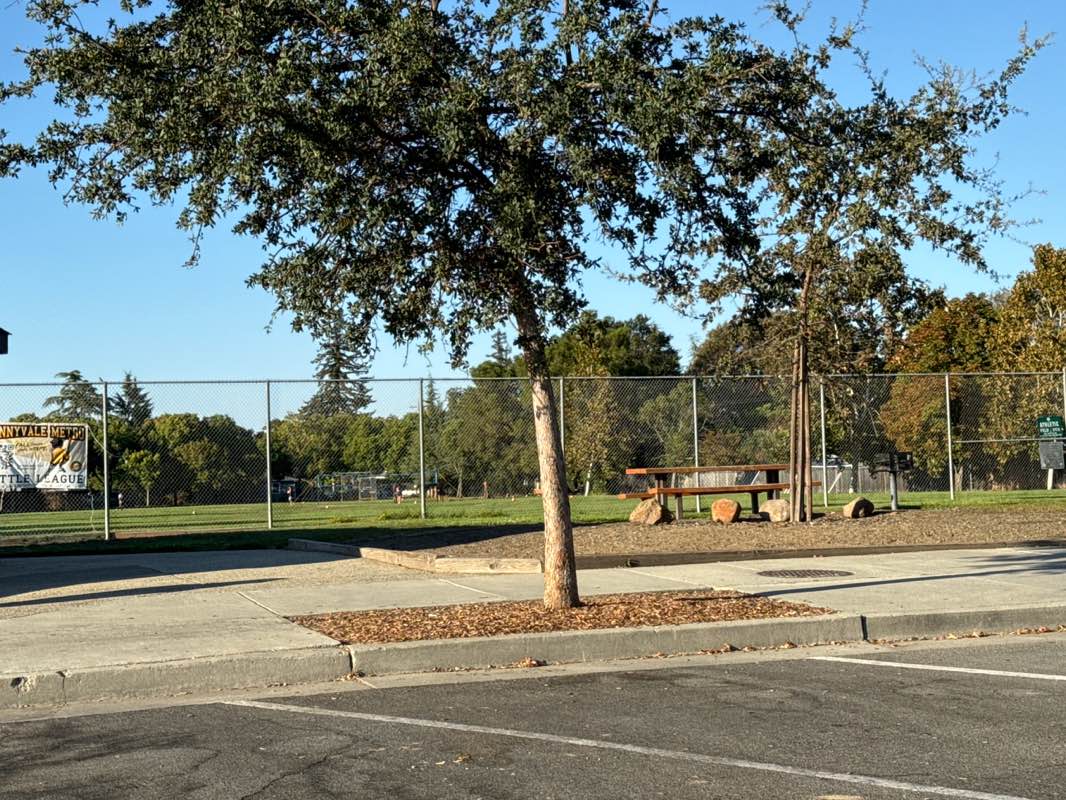 walking near me in Panama Park in autumn