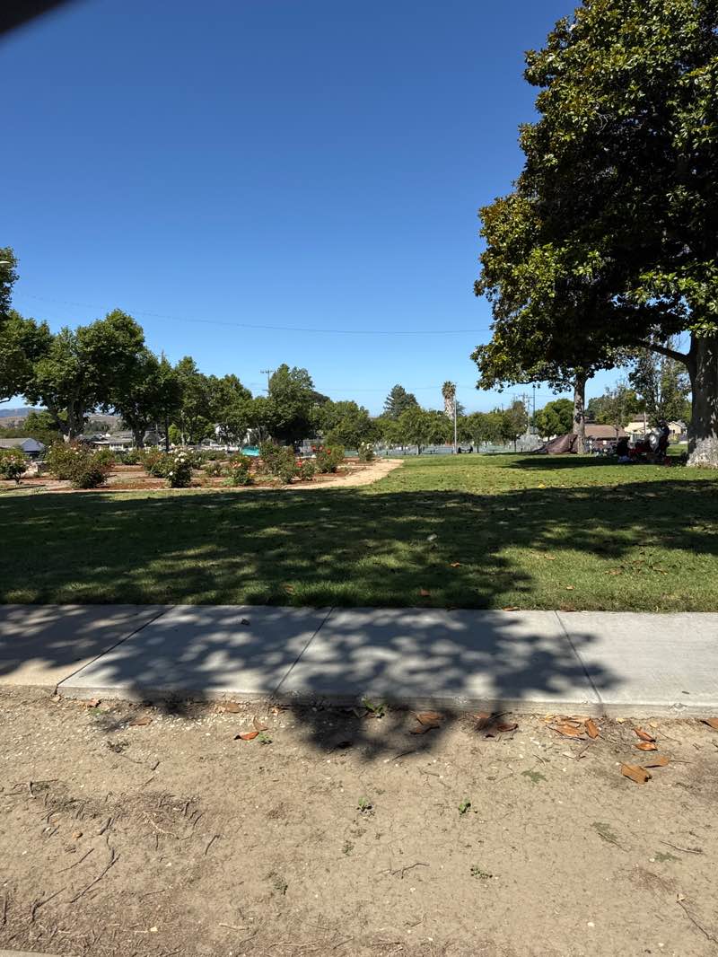 walking near me in Dunne Memorial Park in summer