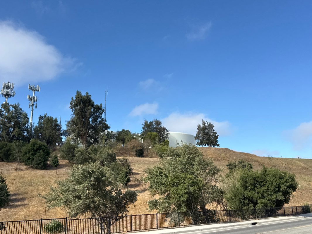 walking near me in Vista Hill Park in summer
