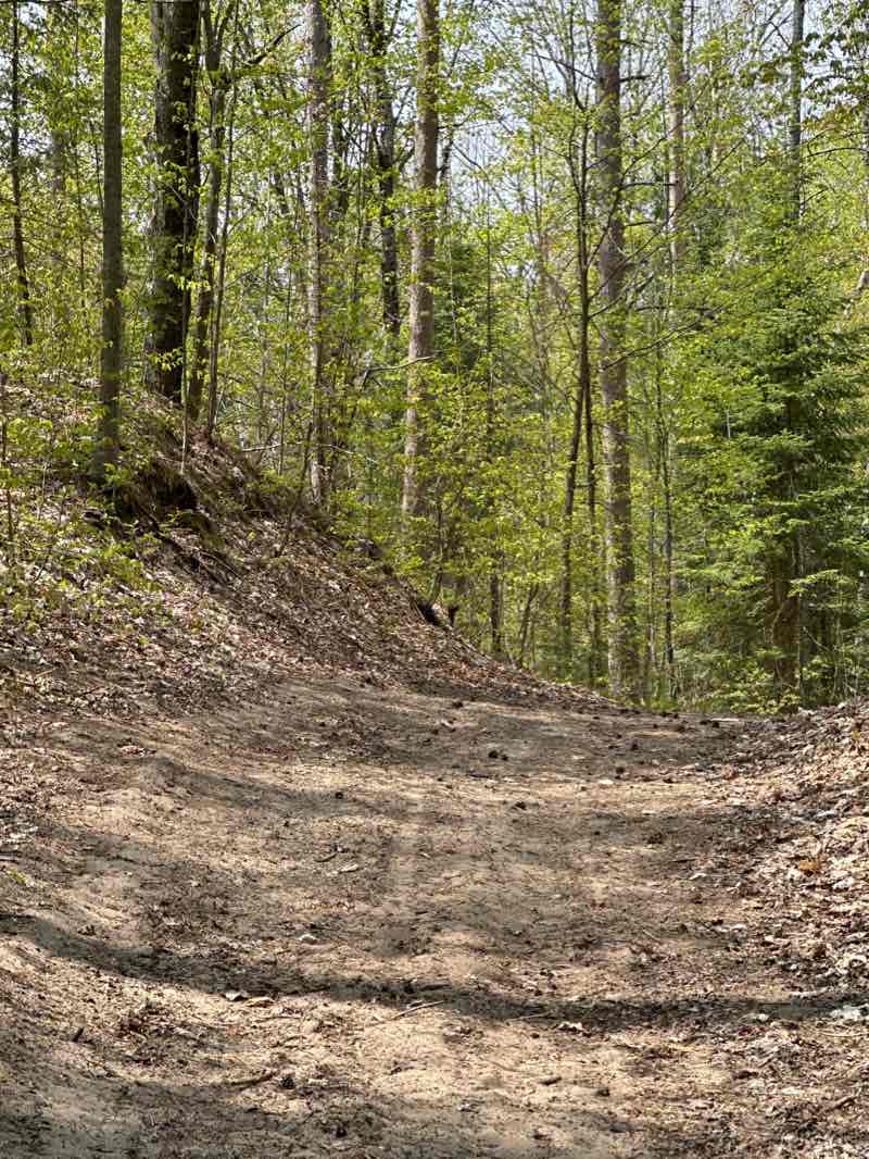 walking near me in Sauble Falls Provincial Park in winter