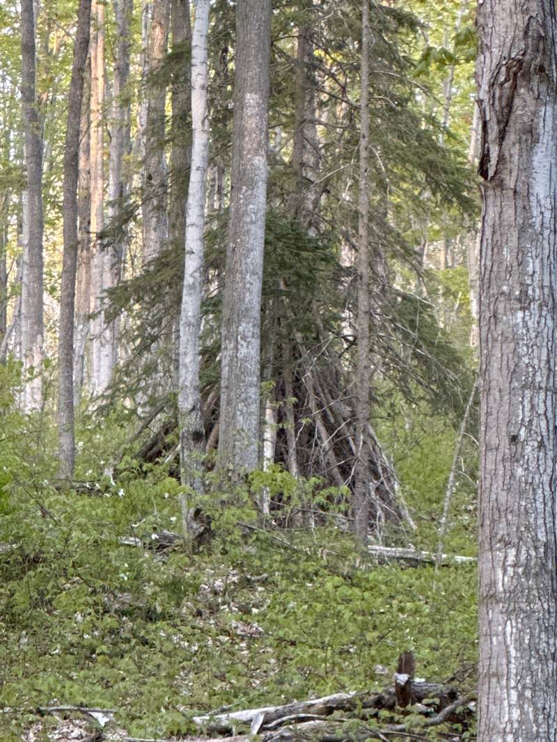 walking near me in Sauble Falls Provincial Park in winter