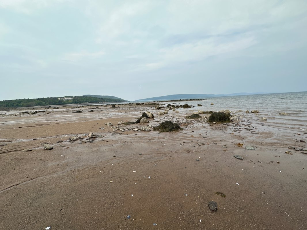 walking near me in Annapolis Basin Look Off Provincial Park in winter