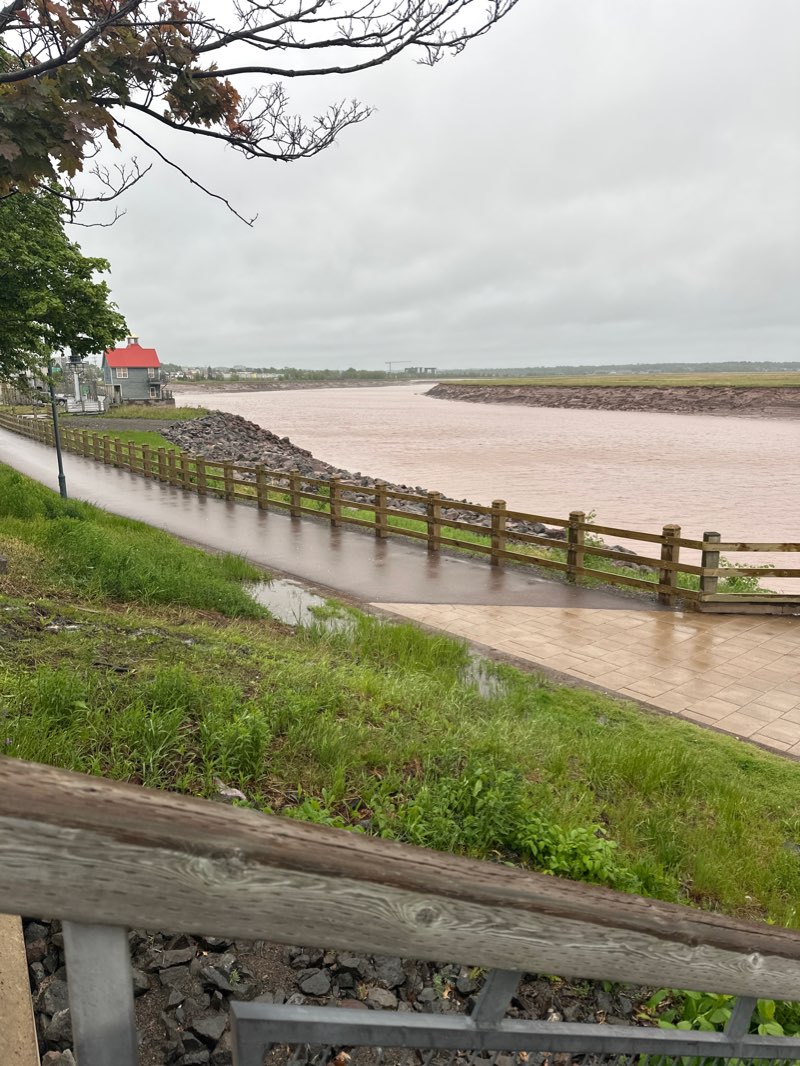 walking near me in Bore Park in winter
