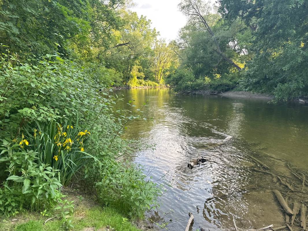 walking near me in Karl Wilkens Park in winter