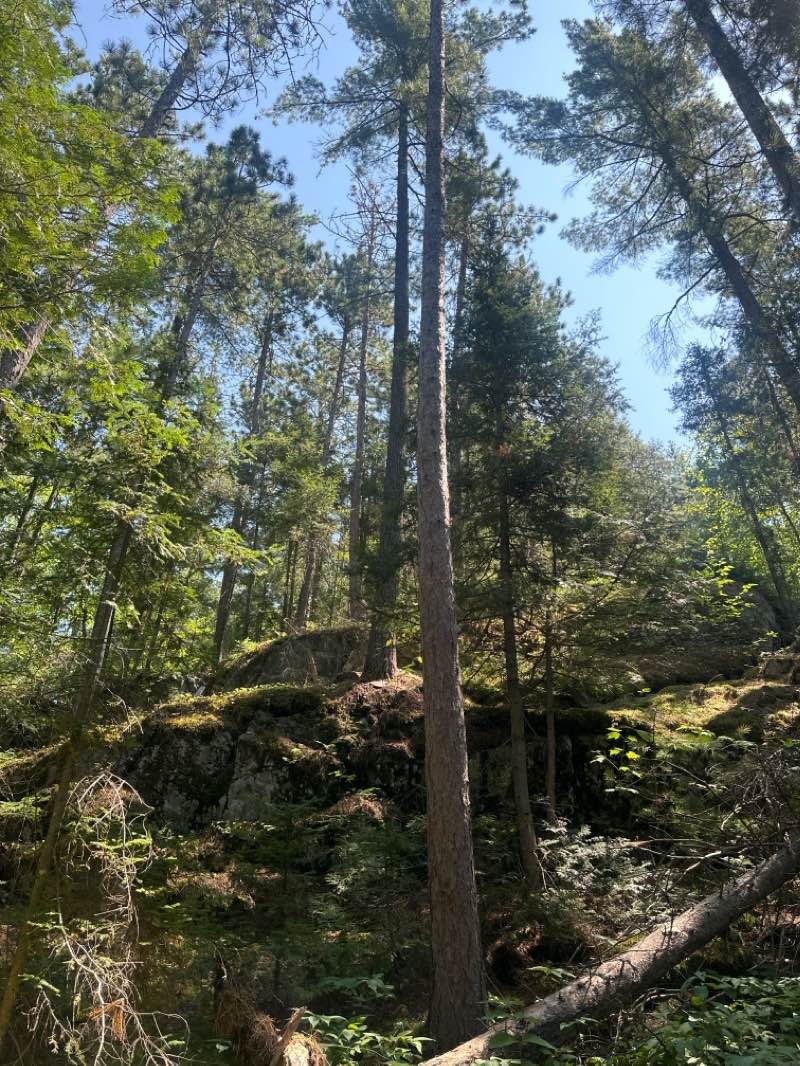 walking near me in Parc national d'Opémican in winter