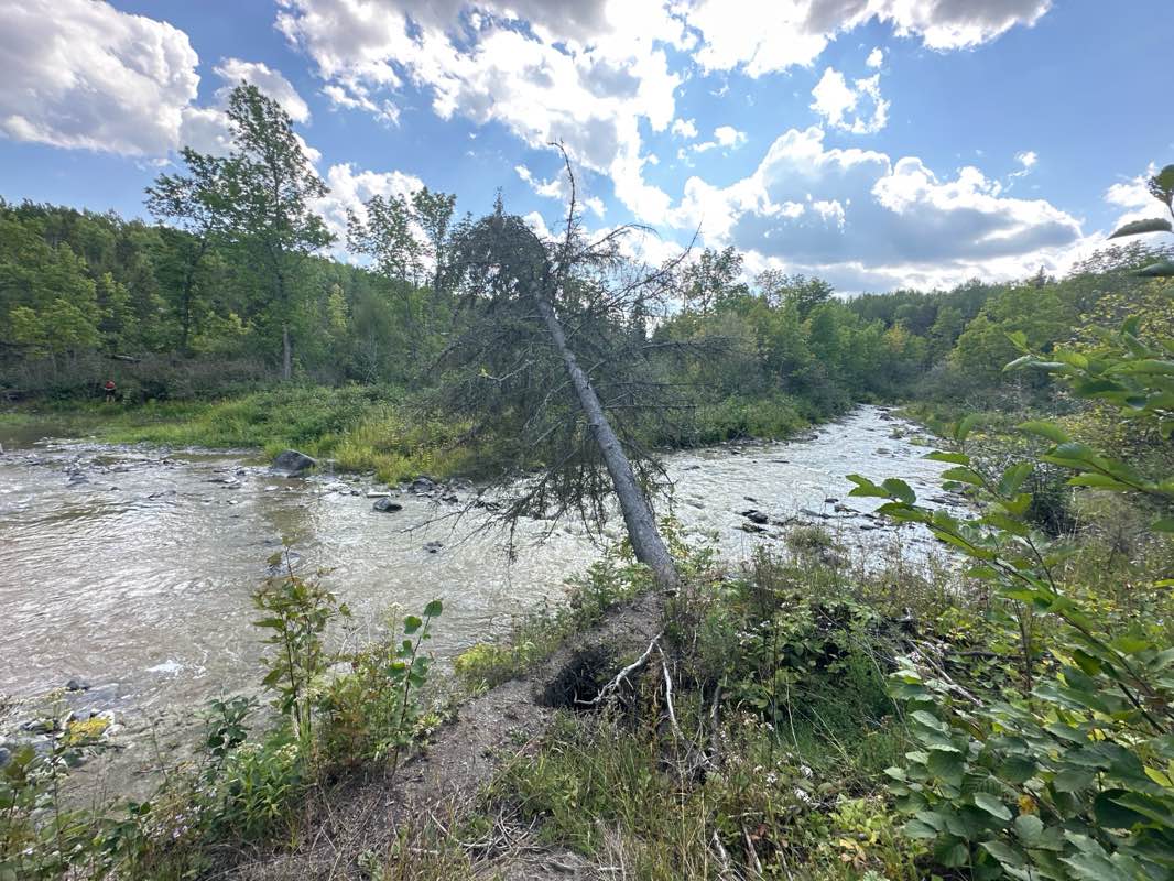 walking near me in Petes Dam Park in winter