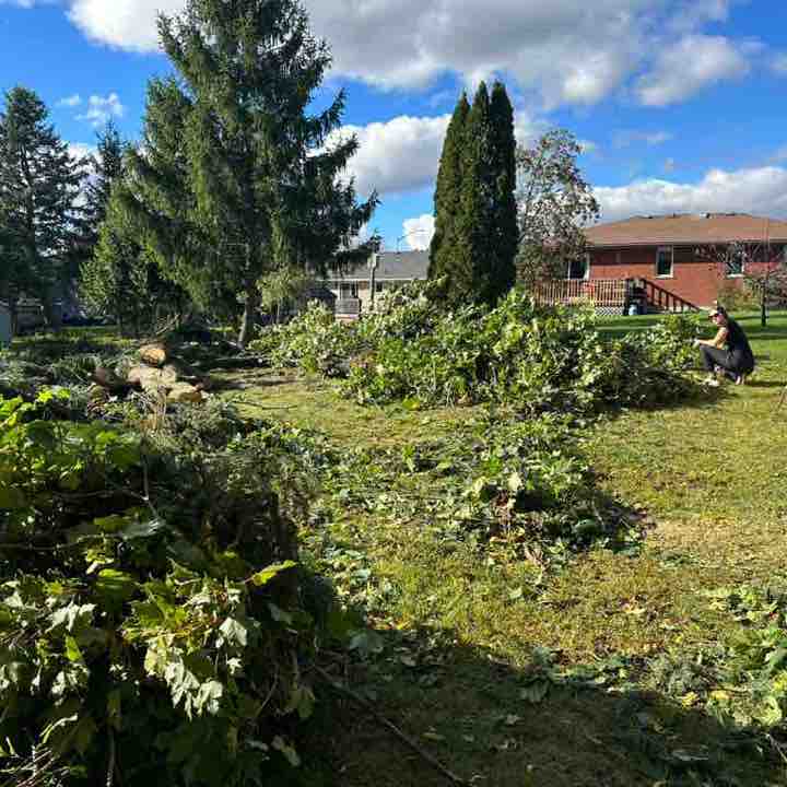 Julie 🌼🌺🌸 post 2