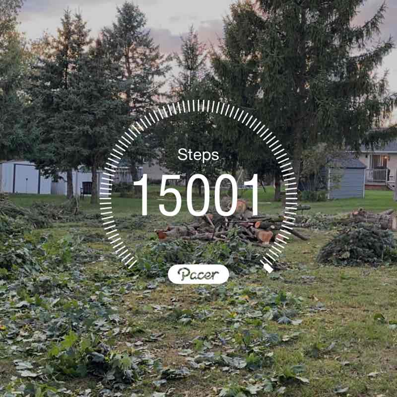 Julie 🌼🌺🌸 post 1