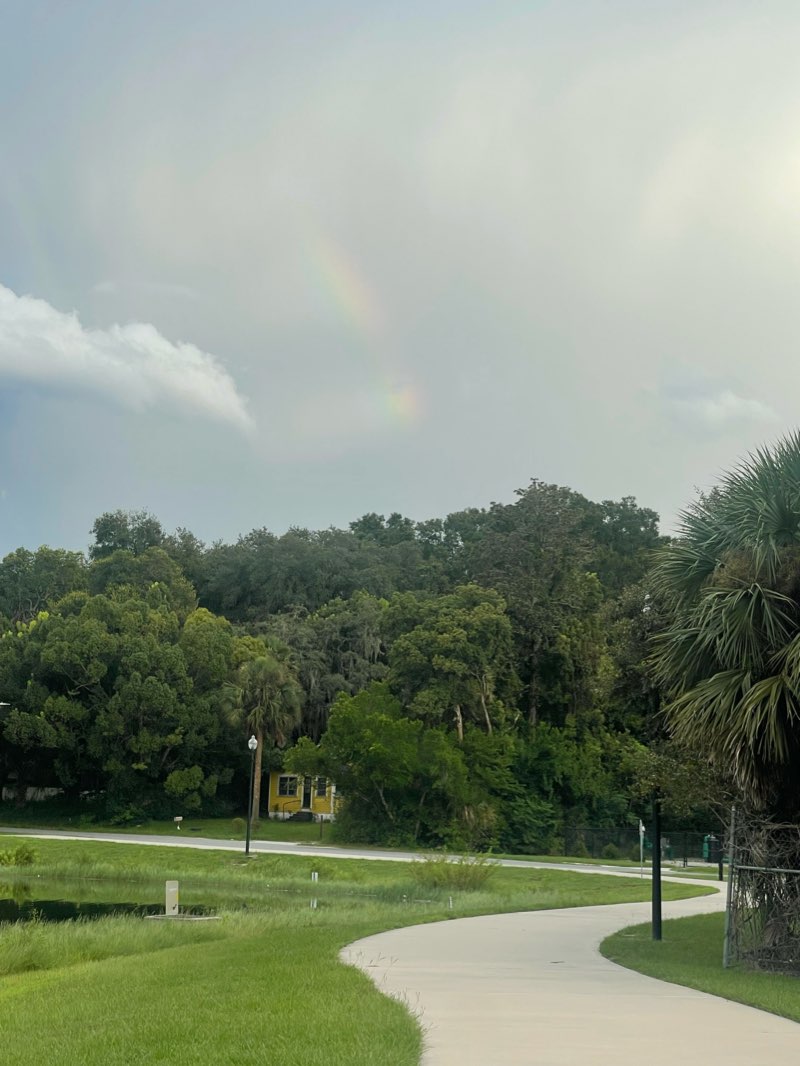 walking near me in Mill Lake Park in winter
