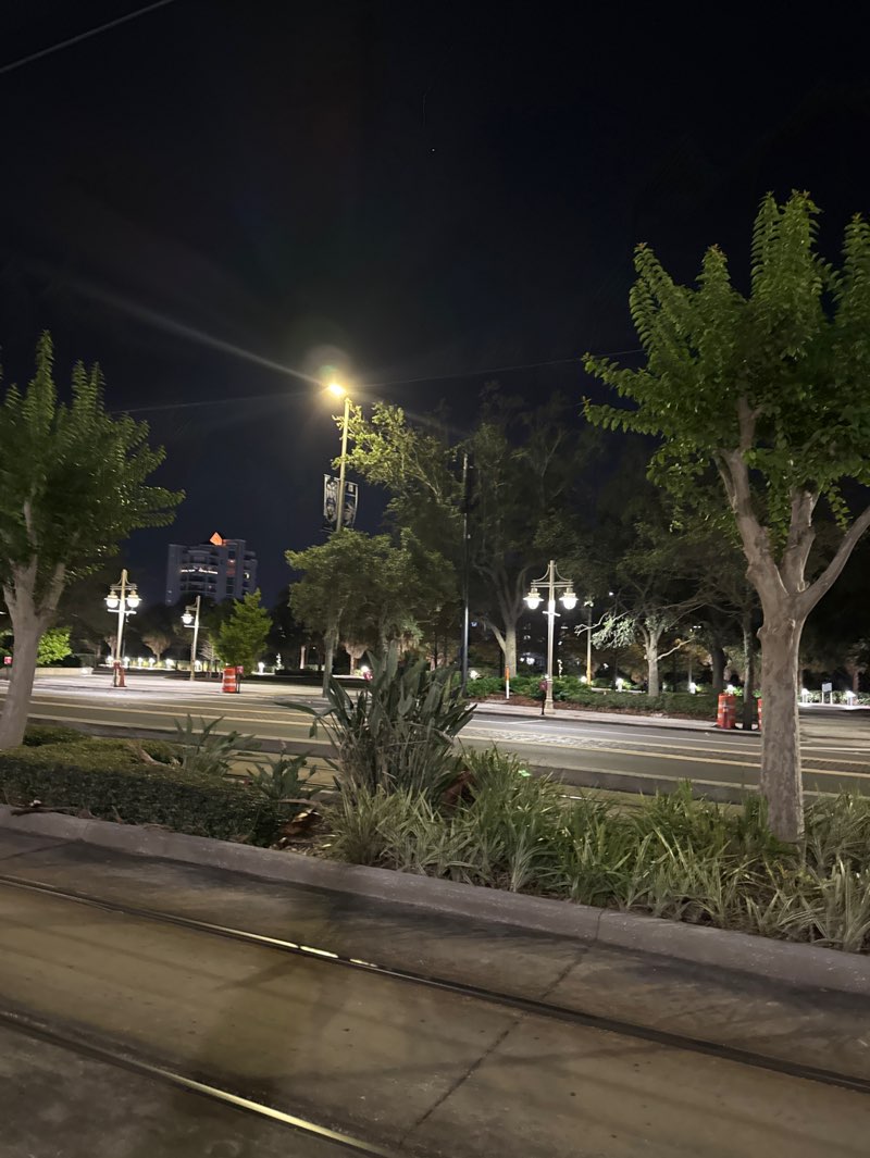 walking near me in Cotanchobee Fort Brooke Park in winter