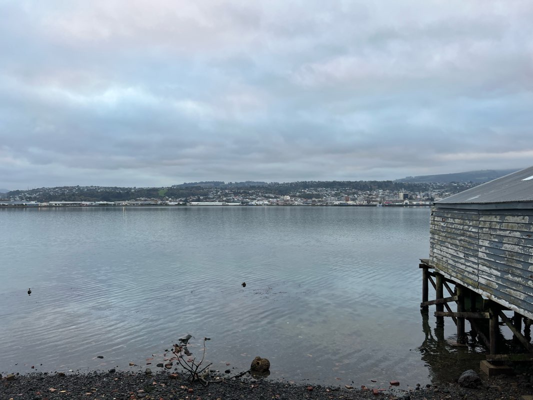 walking near me in Kitchener St Reserve in summer