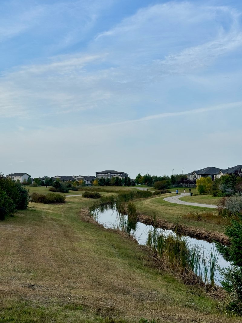walking near me in Tutor Park in autumn