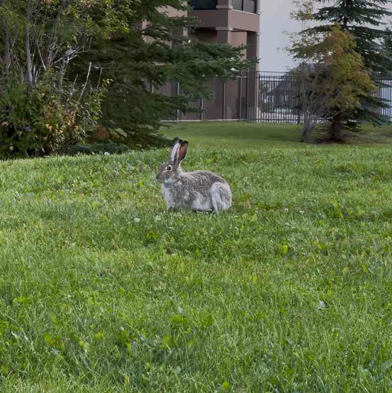 Melissas Stone post 1