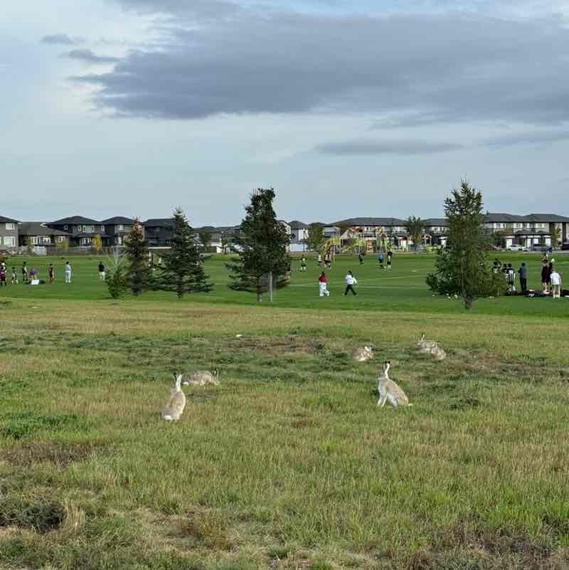 Melissas Stone post 1