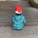 坚果妈妈（王辰琦）