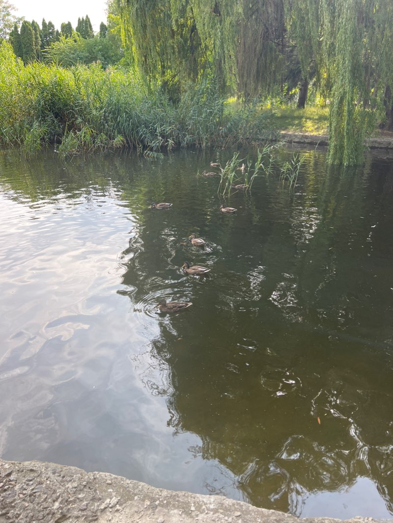walking near me in Victory Park in winter