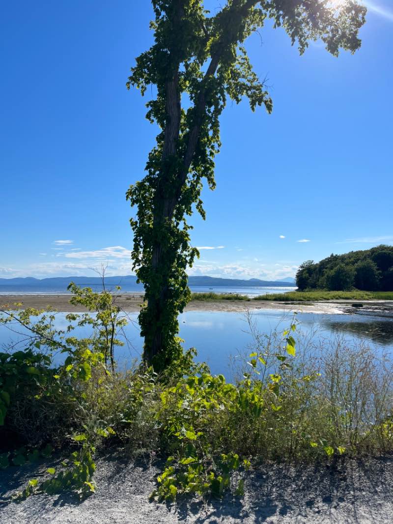 walking near me in Causeway Park in winter