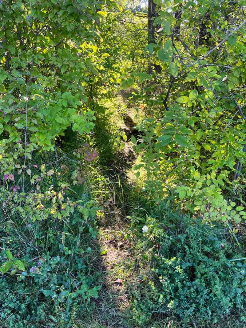 walking near me in Shelburne Bay Park in winter