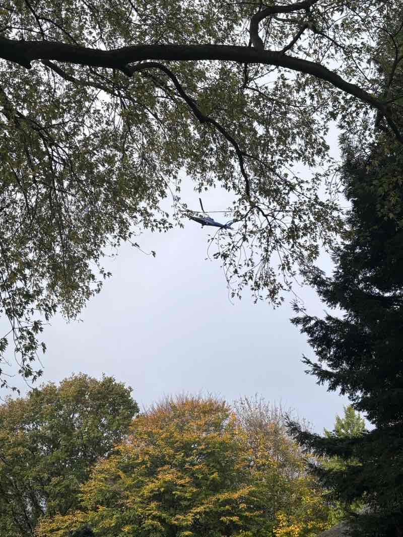 walking near me in Castle Park in autumn