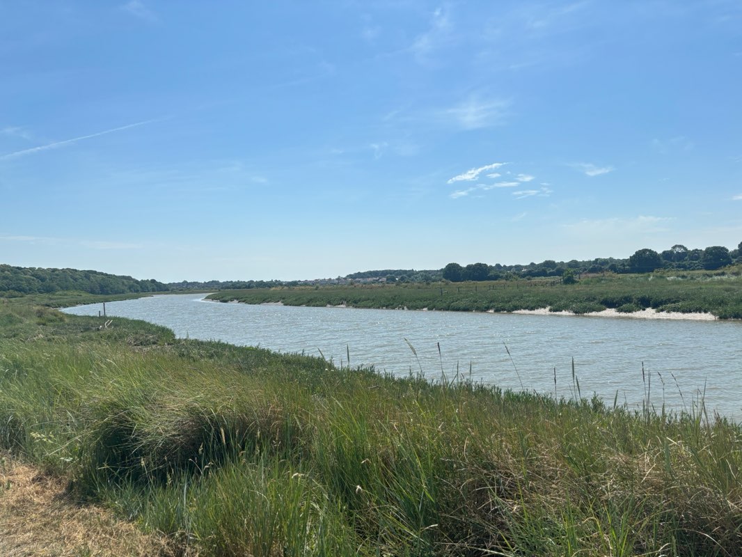 walking near me in Bourne Valley in summer