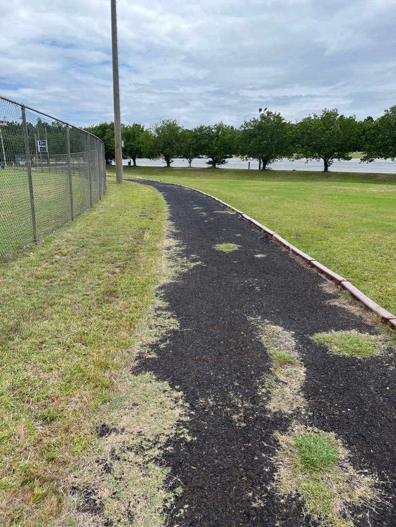 walking near me in Sweetwater Park in winter