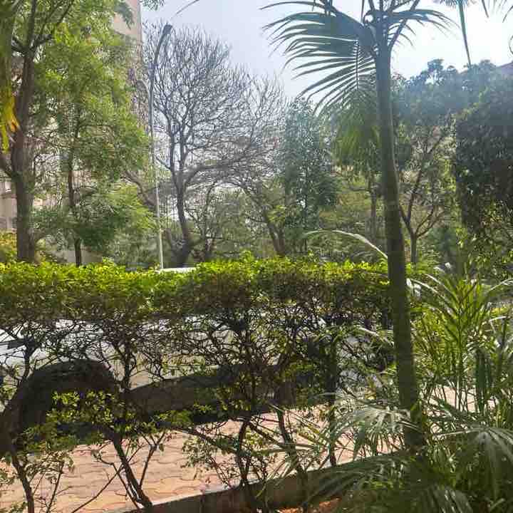 parul post 1