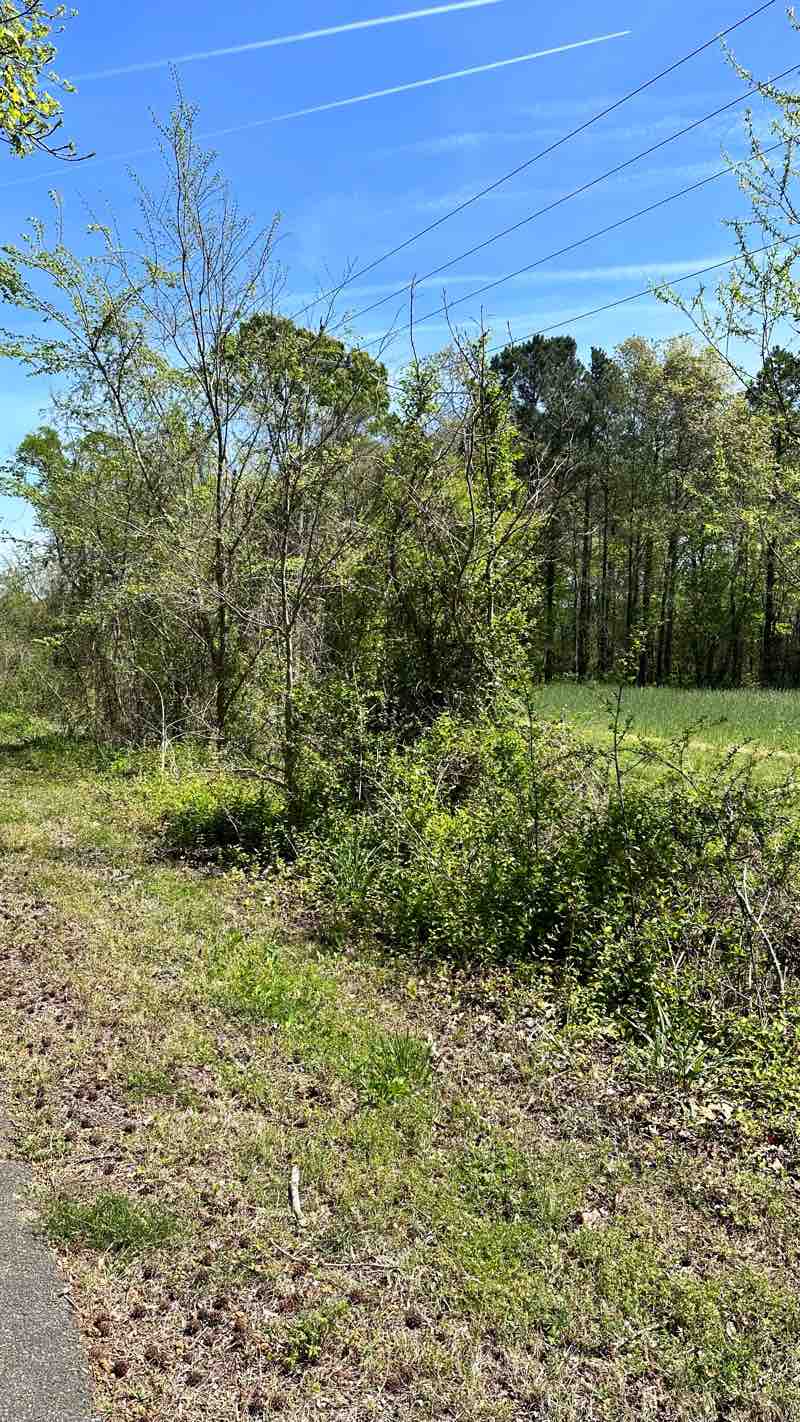 walking near me in Suffolk Seaboard Coastline Trail Park in winter