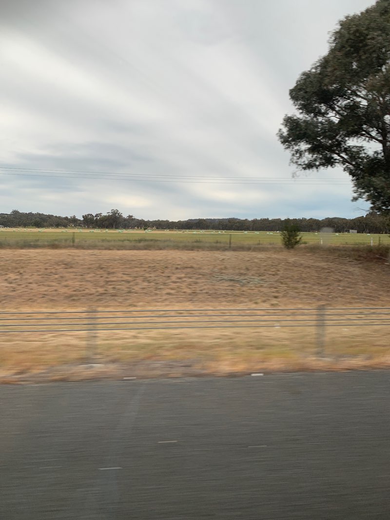 walking near me in Chiltern West I13 Bushland Reserve in spring