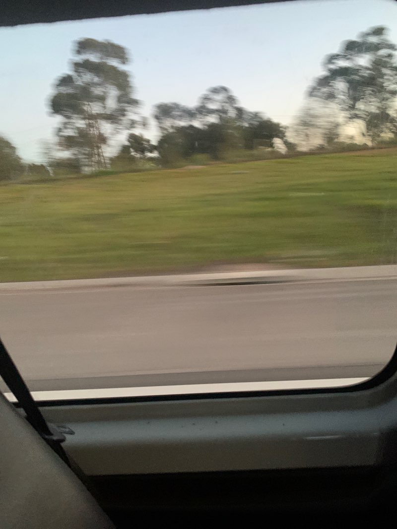 walking near me in Maribyrnong Valley Parklands in winter