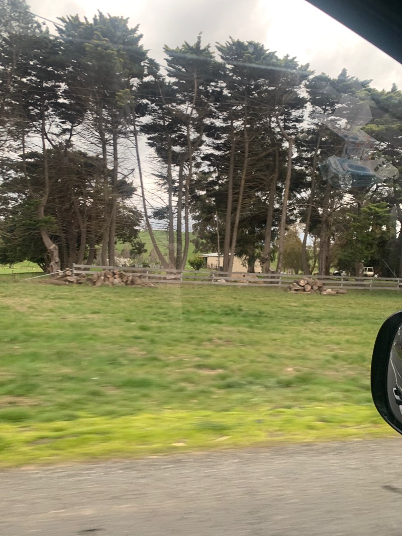 walking near me in Yea River, Yea Streamside Reserve in spring