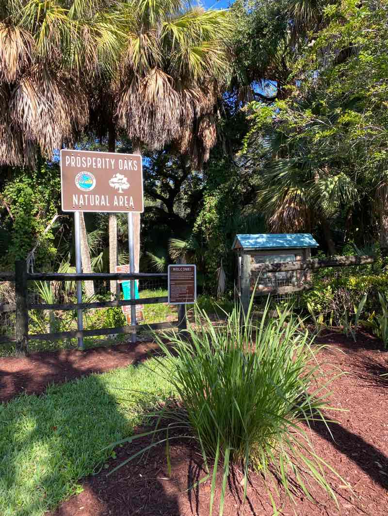 walking near me in Frenchman's Forest Preservation in autumn
