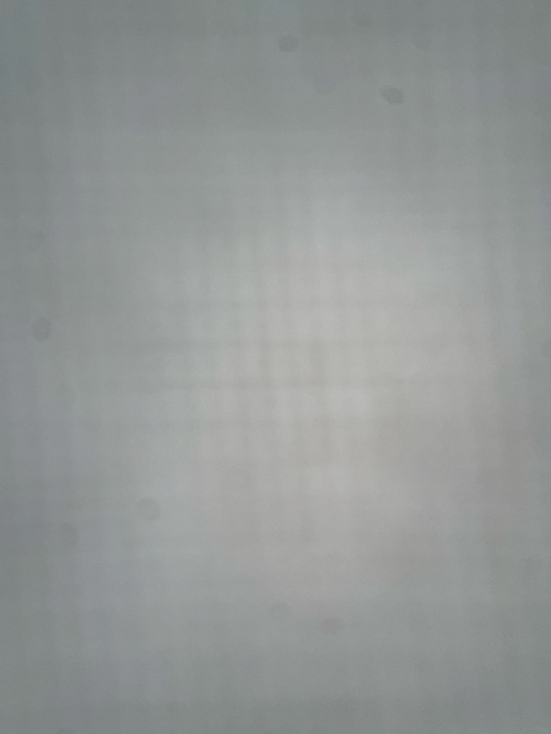 walking near me in Mountainview Park in winter