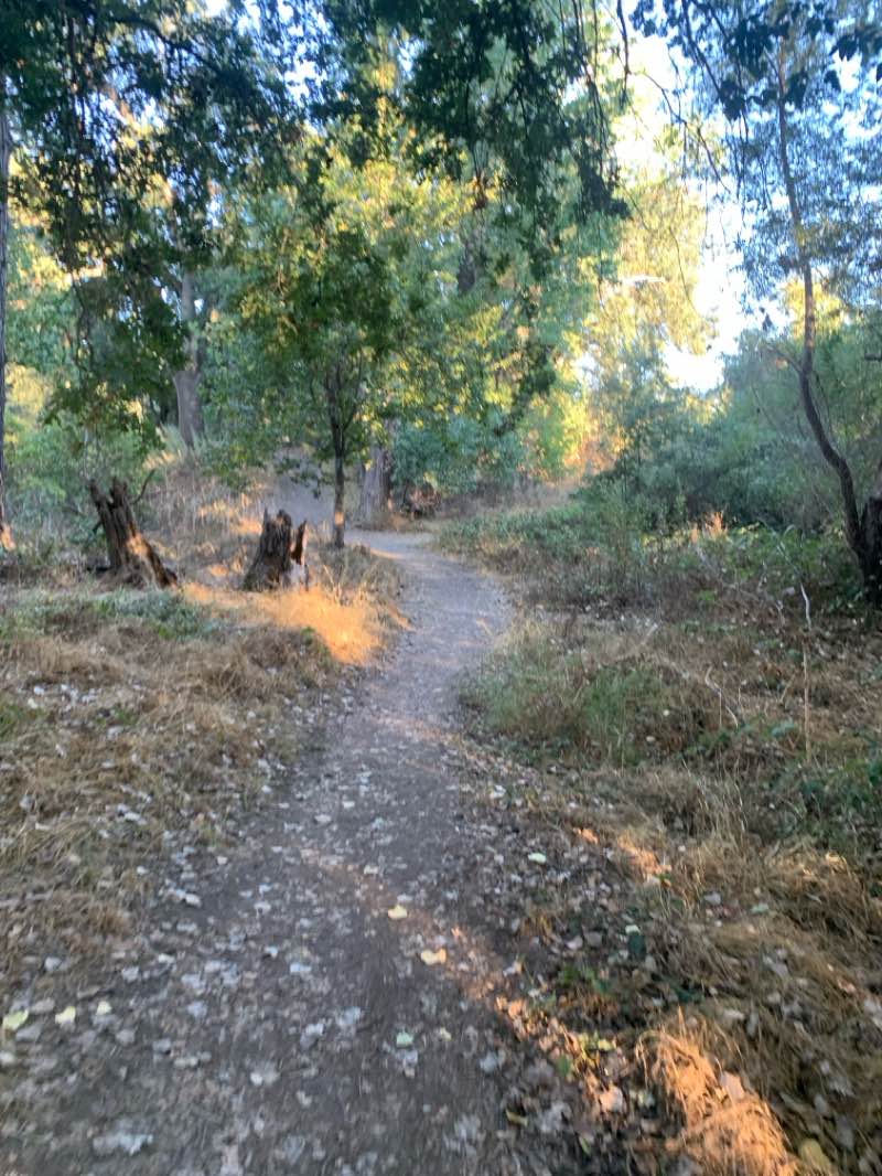 walking near me in Ancil Hoffman Park in autumn