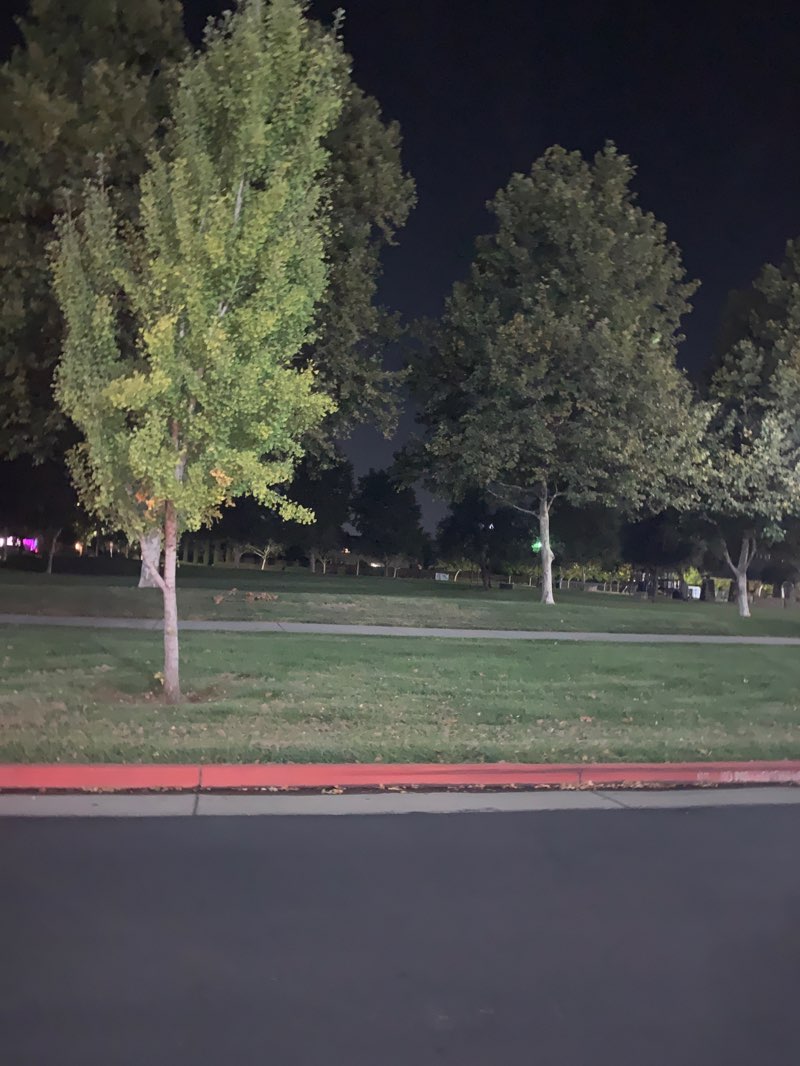 walking near me in Eagle's Nest Park in autumn