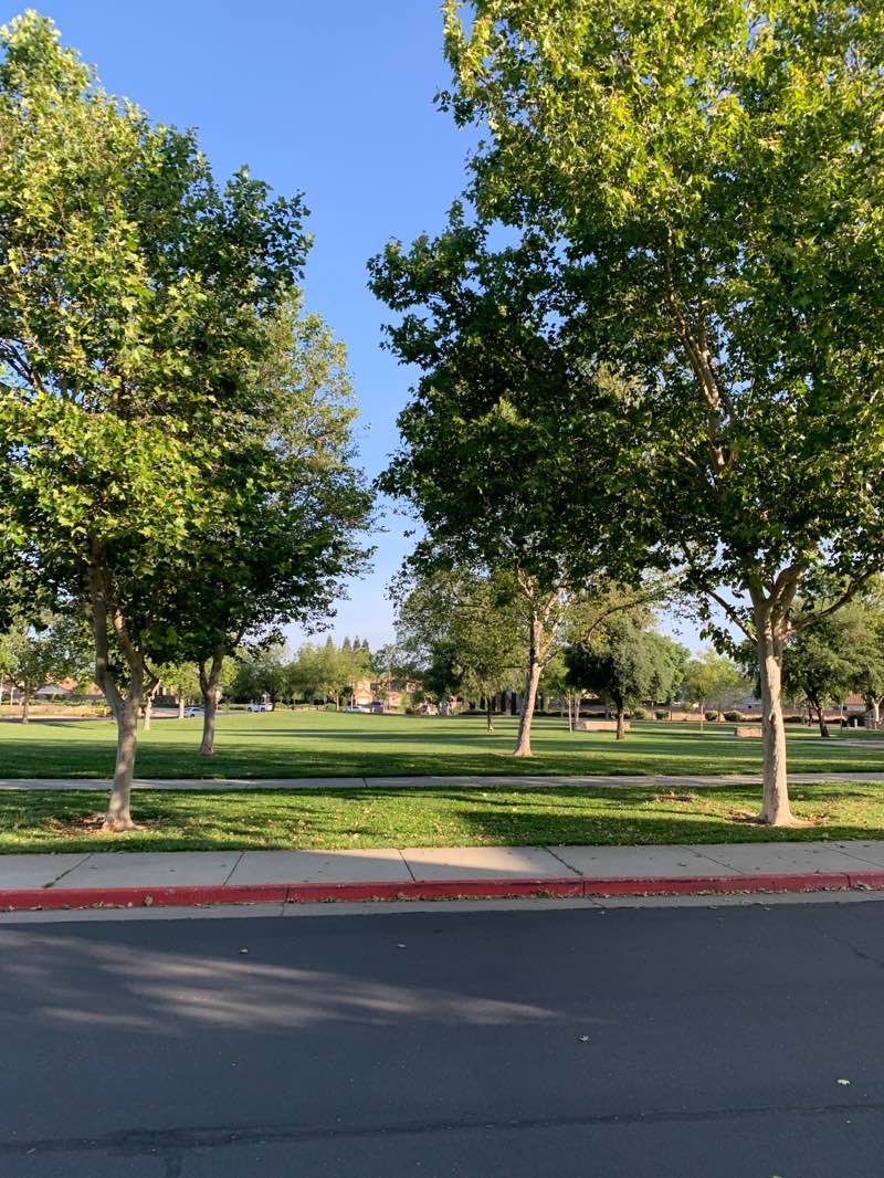 walking near me in Eagle's Nest Park in spring