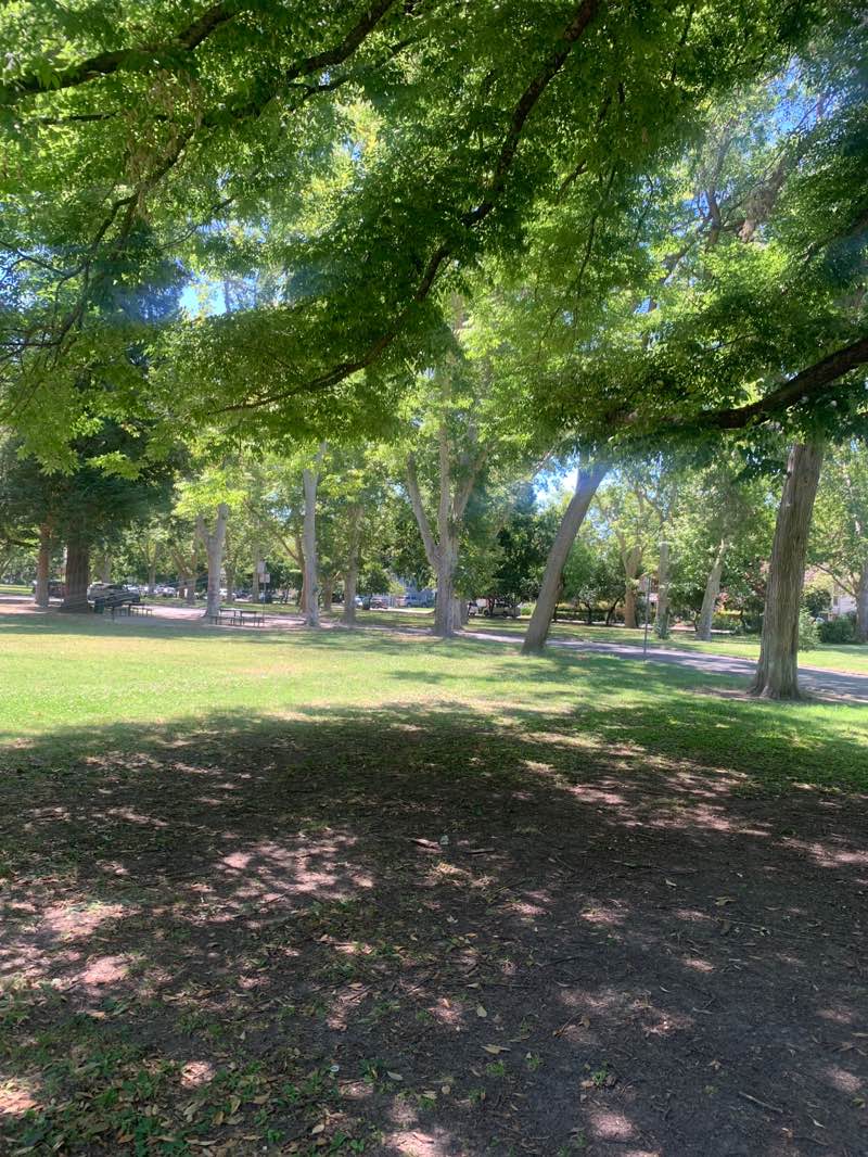 walking near me in William Land Park in summer