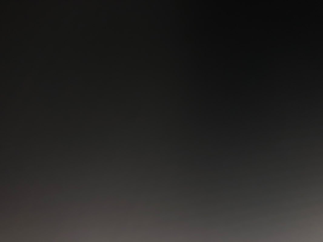 walking near me in Washington Park in winter