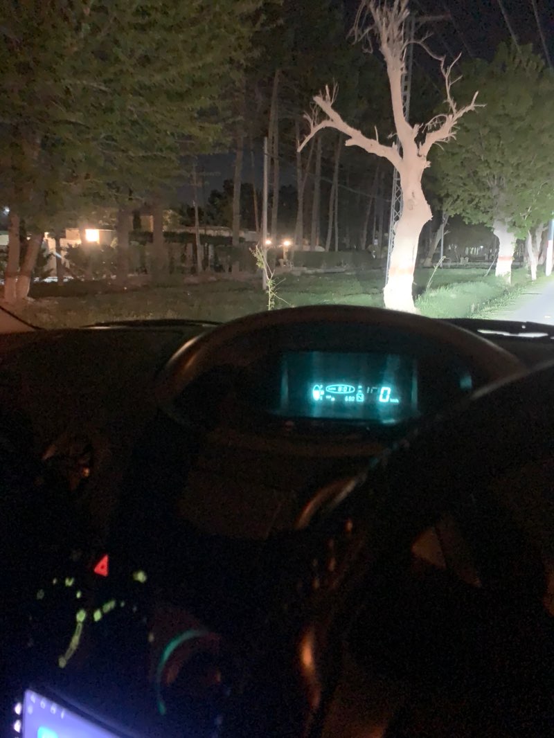 walking near me in گلستان روڈ باغ in spring